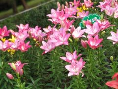 -长春公园(普阳街道)