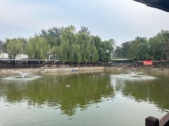 -尚庄度假村·庭台树下·户外烧烤·团建CS·轰趴营地(上庄水库店)