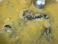 -金三角黄腊丁(奥体店)