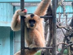 -宁波野生动物园