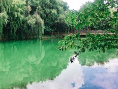 -贵阳市花溪国家城市湿地公园