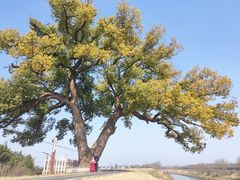 -乌龙涧铁道铁轨景