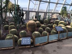 -国家植物园南园