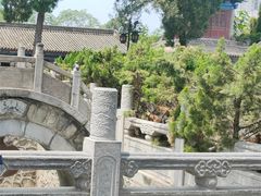 -西安乐游原