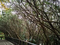 -苏州河梦清园环保主题公园