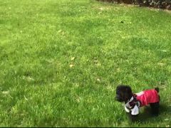 -安安宠医·安宠宠物医院