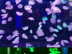 -多彩贵州城极地海洋世界