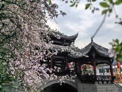 -棠湖公园