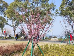 -东钱湖旅游度假区