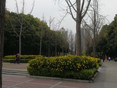 -苏州河梦清园环保主题公园