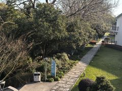 -上海市保健医疗中心