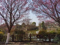 -武汉紫薇都市田园