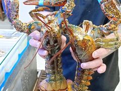 -桔子海鲜烧烤大排档(金沙滩店)