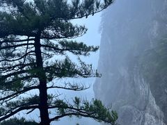 -萍乡武功山风景名胜区