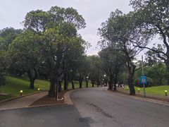 -东莞松山湖凯悦酒店