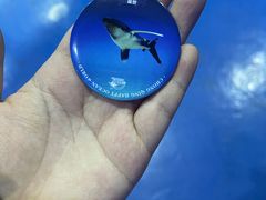 -重庆欢乐海底世界