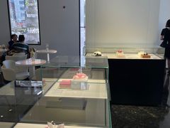-BLACKSWAN黑天鹅(环球店)