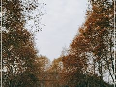 -浙江大学(玉泉校区)