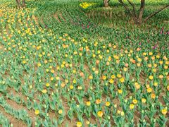 -长春公园(普阳街道)