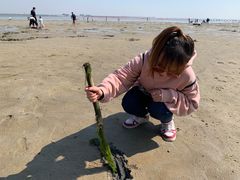 -北海金海湾红树林生态旅游区