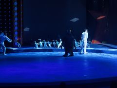 -珠海横琴长隆《卡卡虎奇遇记》