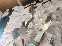 -茶颜悦色(岳麓山顶店)