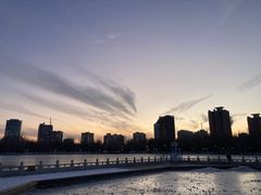 -莲花池公园