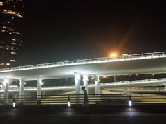 -演武大桥观景平台