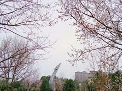 -吉林大学(南岭校区)