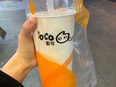 -CoCo都可(十全东店)