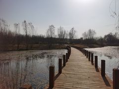 -淇河国家湿地公园