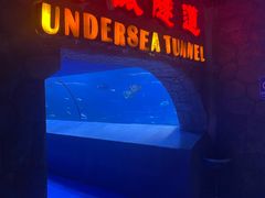 -太平洋海底世界