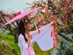 -天适樱花悠乐园