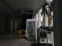 -三亚湾红树林度假世界(木棉酒店)