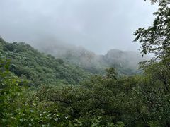 -大岭沟猕猴桃谷风景区