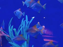 -沈阳海洋探索中心