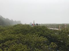 景点-北海金海湾红树林生态旅游区