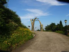-长沙黑麋峰国家森林公园