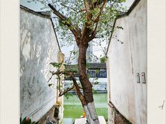 -青果巷历史文化街区
