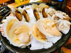 扇贝-丽江庭院之爱在路上(西单店)