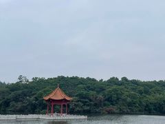 -广州莲花山旅游区