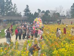 -三圣花乡旅游区