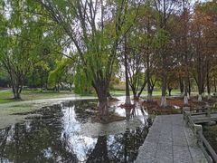 -长广溪湿地公园