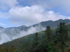 -大围山国家森林公园