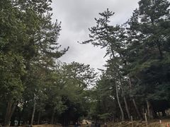 -奈良公园