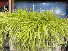 -尤素福东举院饺子馆