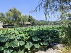 -承德避暑山庄景区