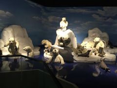 -成都泰迪熊博物馆