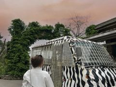-贵州森林野生动物园