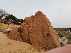 -八大关景区